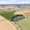 Landbouwgrond