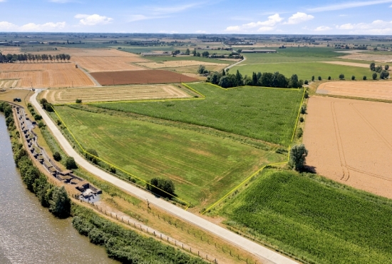 Landbouwgrond